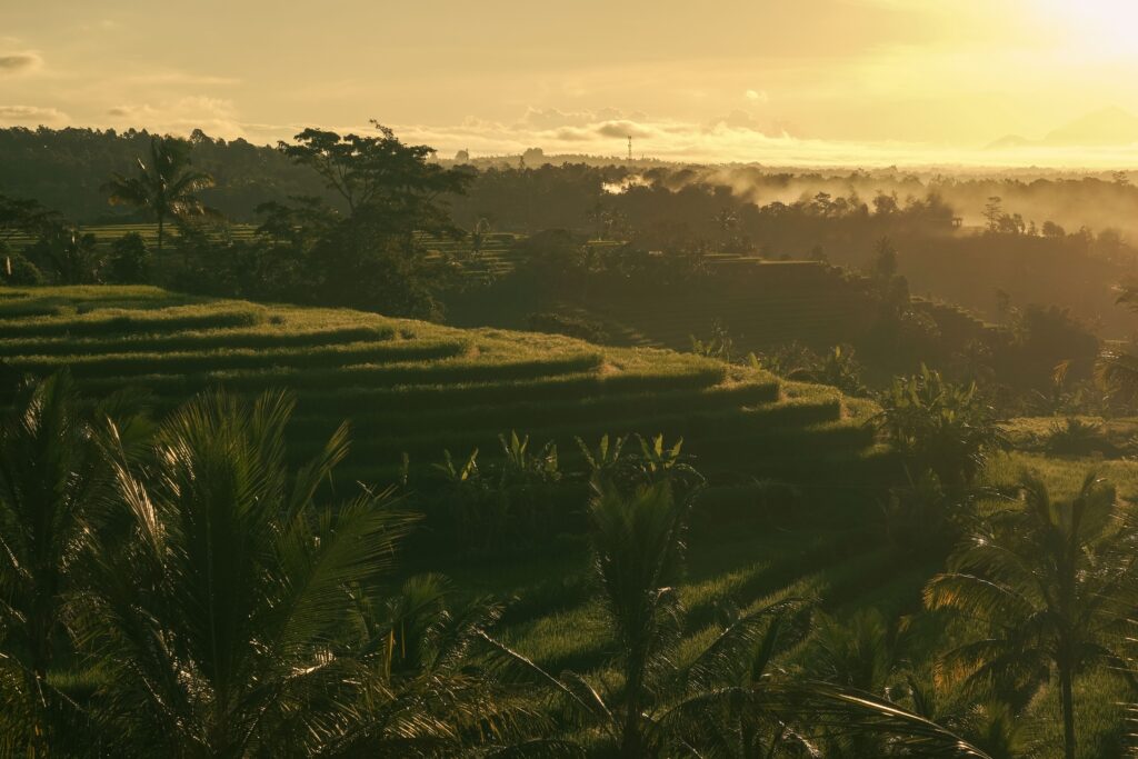 Is Bali Still Worth Visiting in 2026? Traffic Overload, Beach Clubs & Real Costs