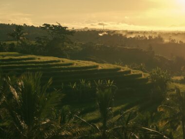 Is Bali Still Worth Visiting in 2026? Traffic Overload, Beach Clubs & Real Costs