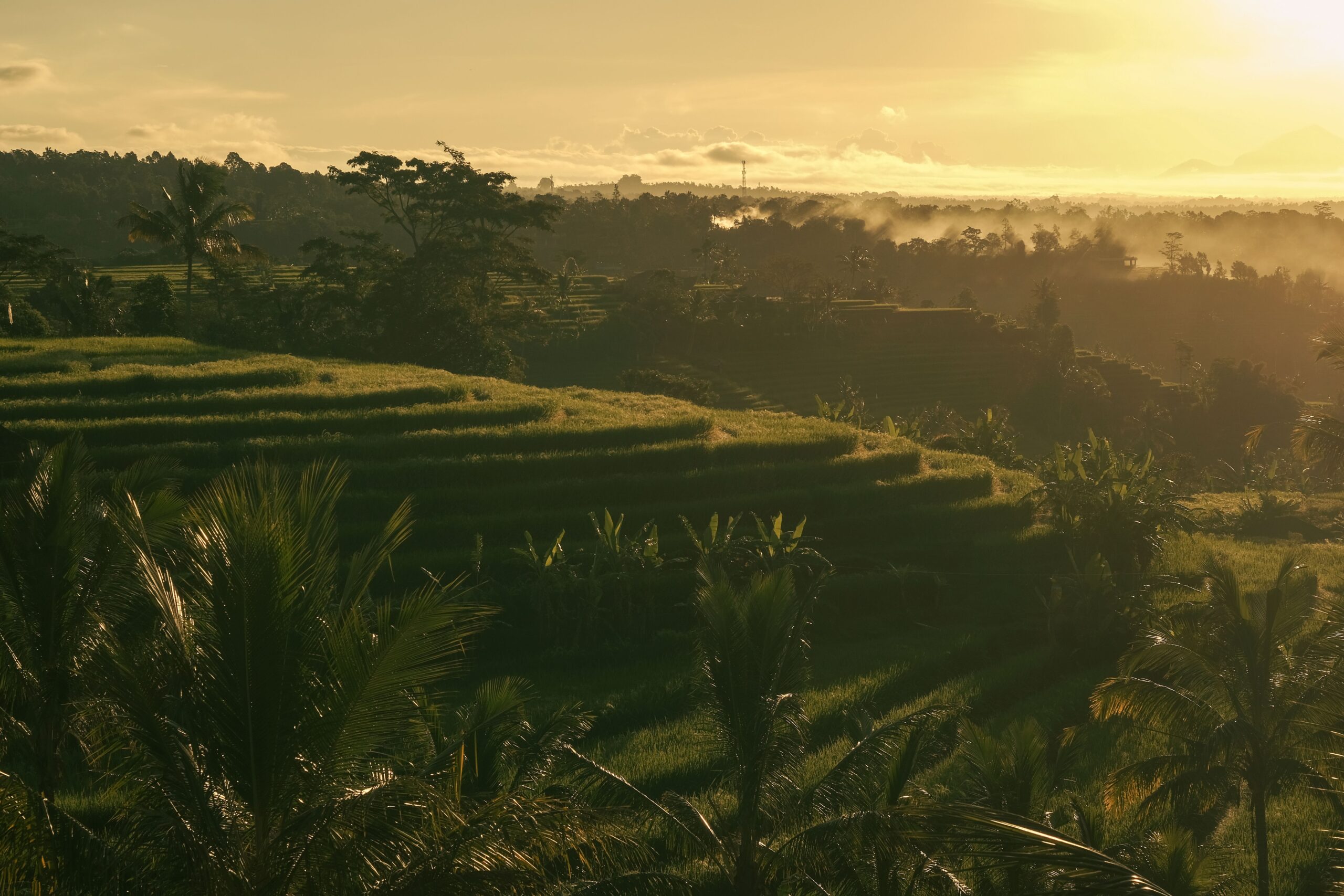 Is Bali Still Worth Visiting in 2026? Traffic Overload, Beach Clubs & Real Costs