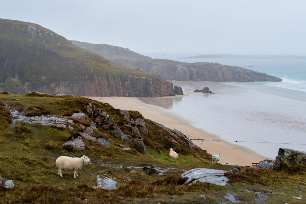 The Scottish North Coast 500 (NC500) on a £60/Day Budget: B&Bs, Fuel & Wild Camping
