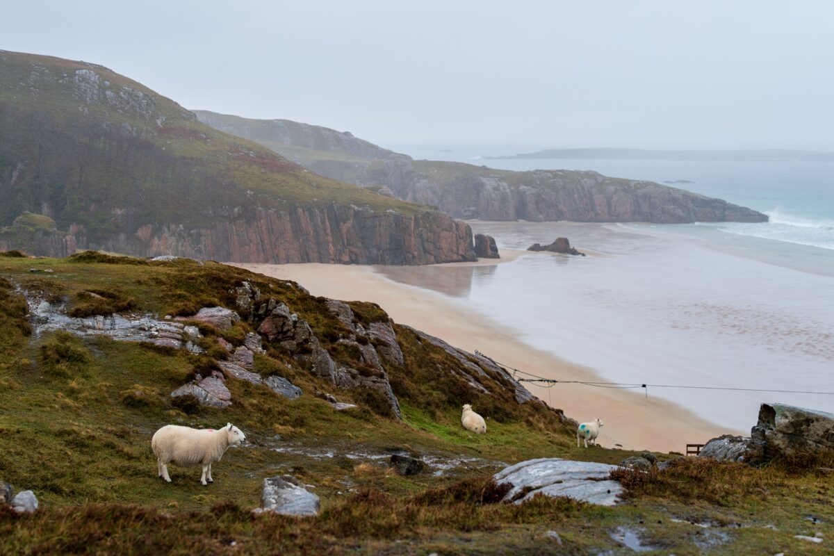The Scottish North Coast 500 (NC500) on a £60/Day Budget: B&Bs, Fuel & Wild Camping
