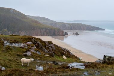 The Scottish North Coast 500 (NC500) on a £60/Day Budget: B&Bs, Fuel & Wild Camping