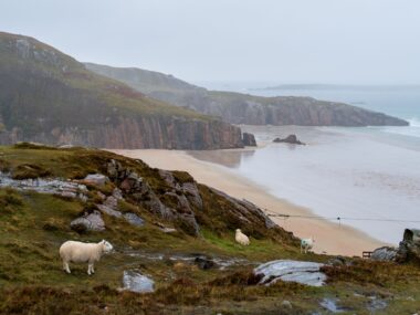 The Scottish North Coast 500 (NC500) on a £60/Day Budget: B&Bs, Fuel & Wild Camping