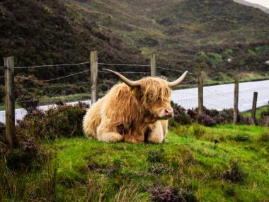 Coolcation Guide: 7 Days in the Scottish Highlands & Isle of Skye