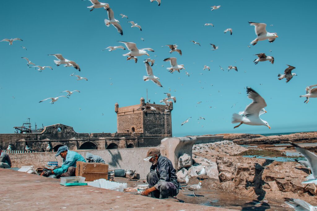 48 Hours in Essaouira vs Marrakech