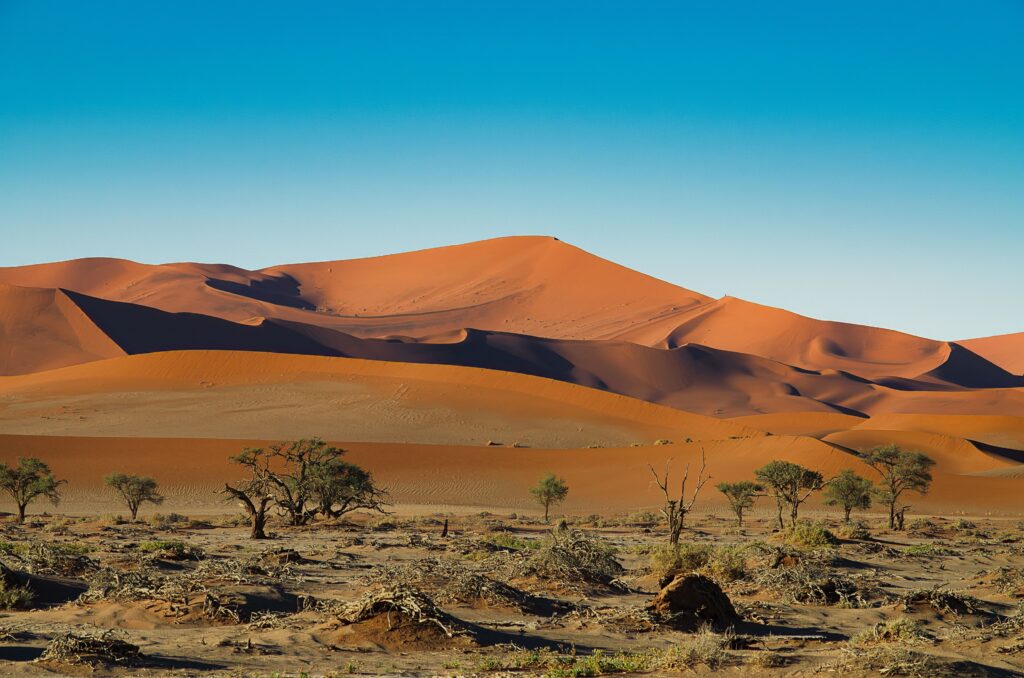 Swap Cape Town for Windhoek & Sossusvlei (Namibia): Epic Desert Road Trips & Wildlife