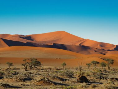 Swap Cape Town for Windhoek & Sossusvlei (Namibia): Epic Desert Road Trips & Wildlife