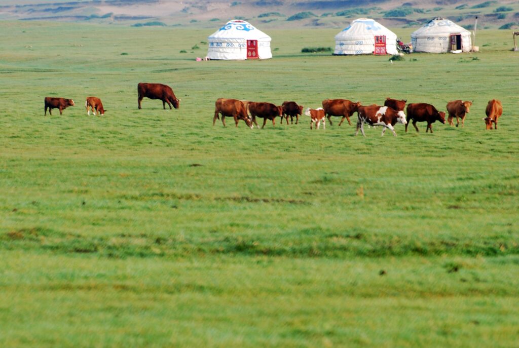The Trans-Mongolian Express Alternative: 7 Days Rail Hopping Mongolia's Steppe & Gobi Desert