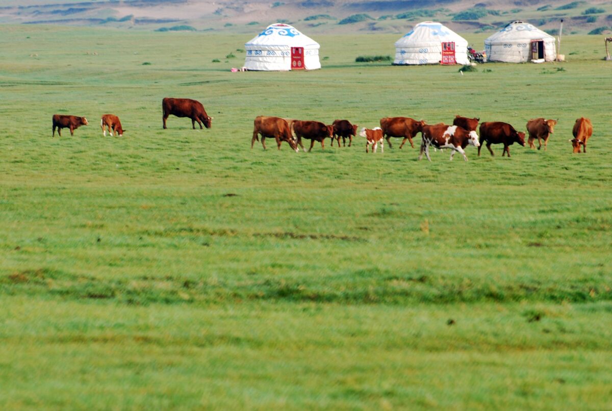 The Trans-Mongolian Express Alternative: 7 Days Rail Hopping Mongolia's Steppe & Gobi Desert