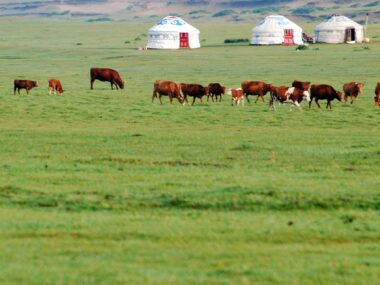 The Trans-Mongolian Express Alternative: 7 Days Rail Hopping Mongolia's Steppe & Gobi Desert